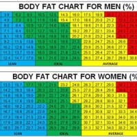 Ideal Body Fat Percene Chart