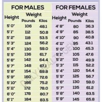 Ideal Body Weight Chart India