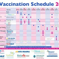 Immunization Schedule Chart 2021 In India