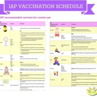 Immunization Schedule Chart In Hindi