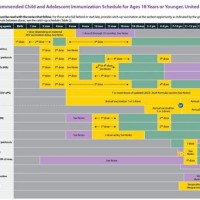 Immunization Schedule Chart Who