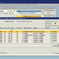 Import Chart Of Accounts Sap Business One