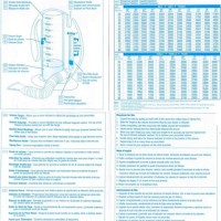 Incentive Spirometer Respiratory Capacity Chart