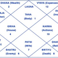 Indian Astrology Birth Chart In Hindi