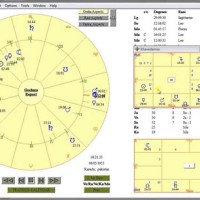 Indian Astrology Birth Chart