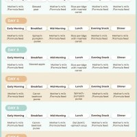 Indian Baby Food Chart Month By