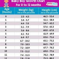 Indian Baby Growth Chart Boy