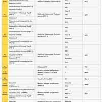 Indian Baby Vaccination Chart 2021