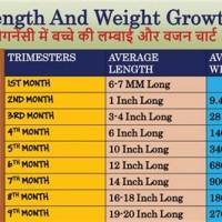 Indian Fetal Weight Chart In Grams