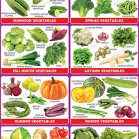 Indian Seasonal Fruits And Vegetables Chart