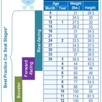 Infant Car Seat Growth Chart