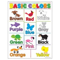 Infant Color Chart