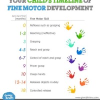 Infant Fine Motor Skills Development Chart