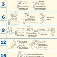 Infant Gross Motor Milestones Chart