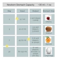 Infant Intake Chart