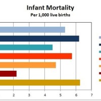 Infant Mortality Rate Chart