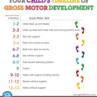 Infant Motor Skills Development Chart