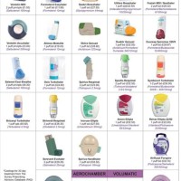 Inhaler Expiration Date Chart