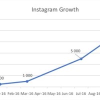 Insram Follower Growth Chart