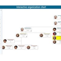 Interactive Anizational Chart Template