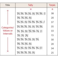 Interactive Tally Chart Maker