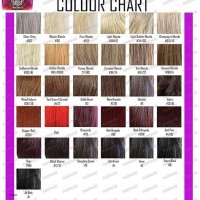 Ion Color Brilliance Chart Demi