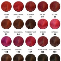 Ion Color Brilliance Chart Red