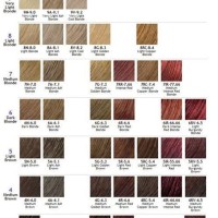 Ion Color Brilliance Mochas Chart