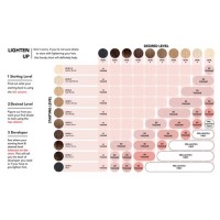 Ion Color Brilliance Permanent Creme Hair Chart