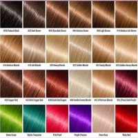 Ion Color Chart For Hair Coloring