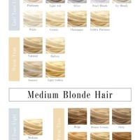 Ion Hair Color Chart Blonde Highlights