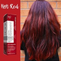 Ion Hair Color Chart Red