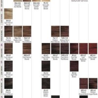 Ion Intensive Shine Demi Permanent Color Chart