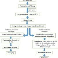 Ion Of Vinegar Flow Chart