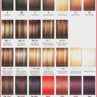 Ion Permanent Creme Color Chart