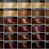 Ion Permanent Creme Hair Color Chart20