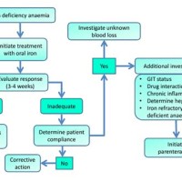 Iron Deficiency Anaemia Flowchart