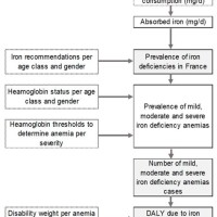 Iron Deficiency Anemia Flowchart