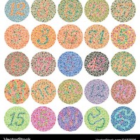 Ishihara Color Vision Test Chart