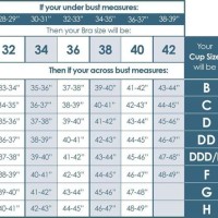 Izod Womens Underwear Size Chart