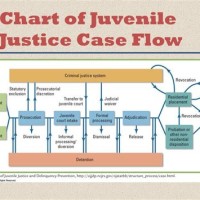 Juvenile Justice System Process Flow Chart