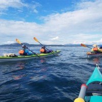 Kayak Charter Flights