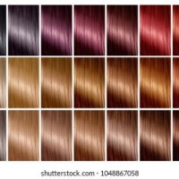 Kerastase Hair Color Chart