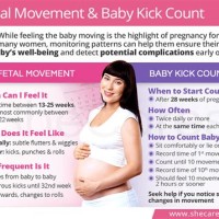 Kick Count Chart Fetal Movement