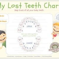 Kids Losing Teeth Chart