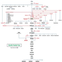 King David Family Tree Chart