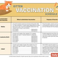 Kitten Vaccination Schedule Chart