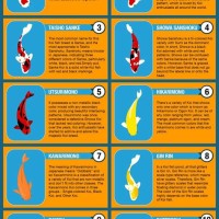 Koi Fish Size Chart