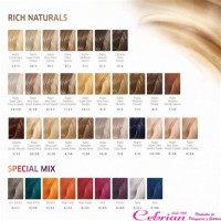 Koleston Perfect Colour Chart 2016