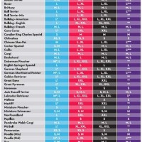 Kong Dog Crate Size Chart